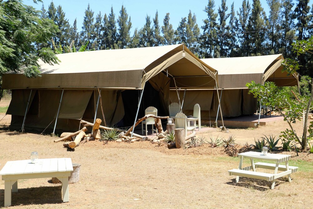 Addo African Home