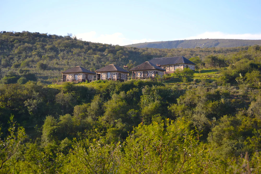 Addo Bush Palace Private Reserve