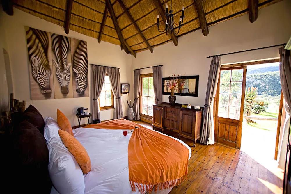 Addo Bush Palace Private Reserve
