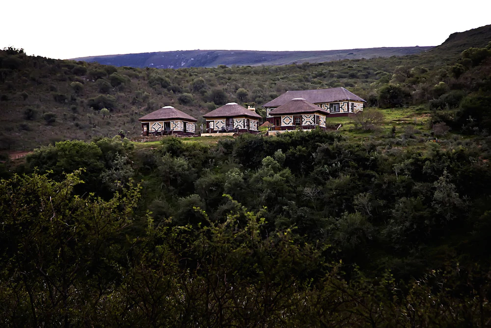 Addo Bush Palace Private Reserve