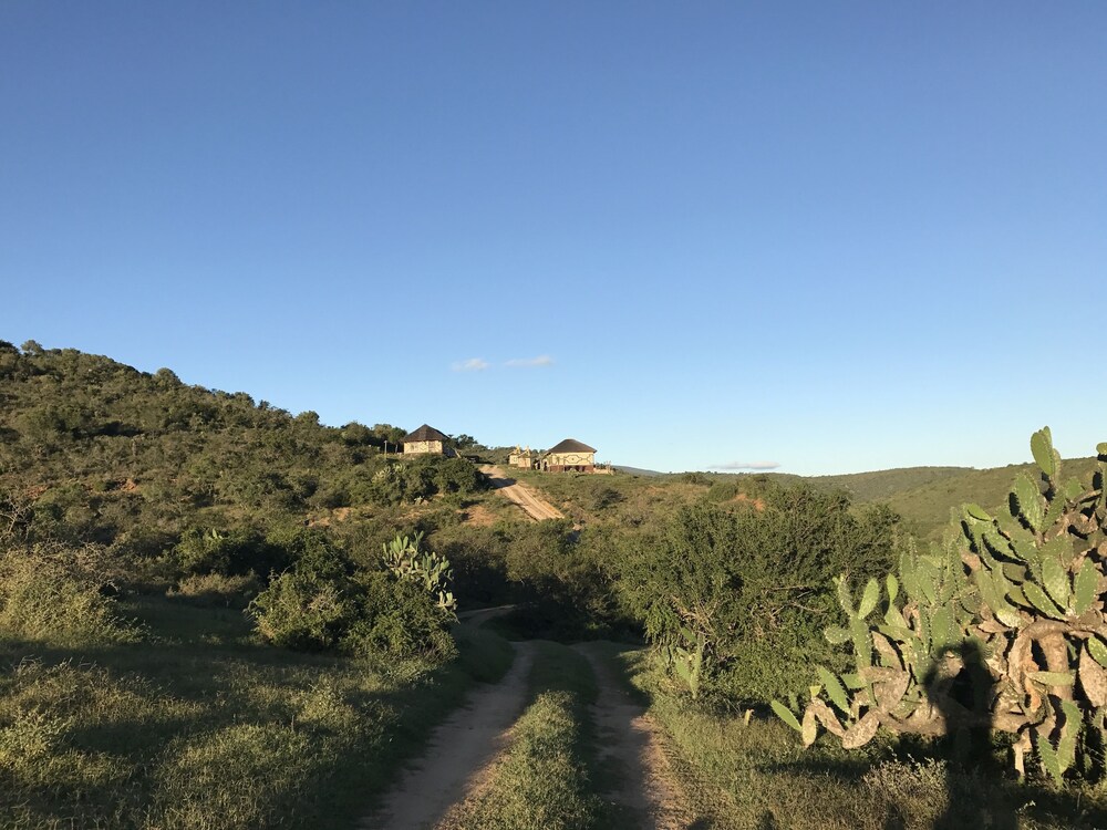 Addo Bush Palace Private Reserve