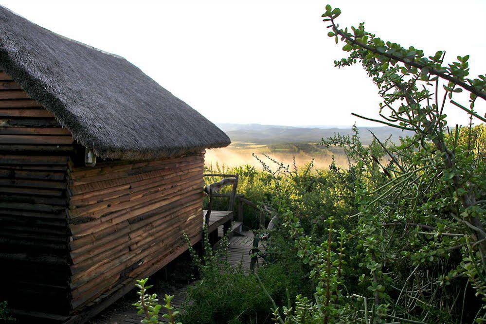 Addo Dung Beetle Guest Farm
