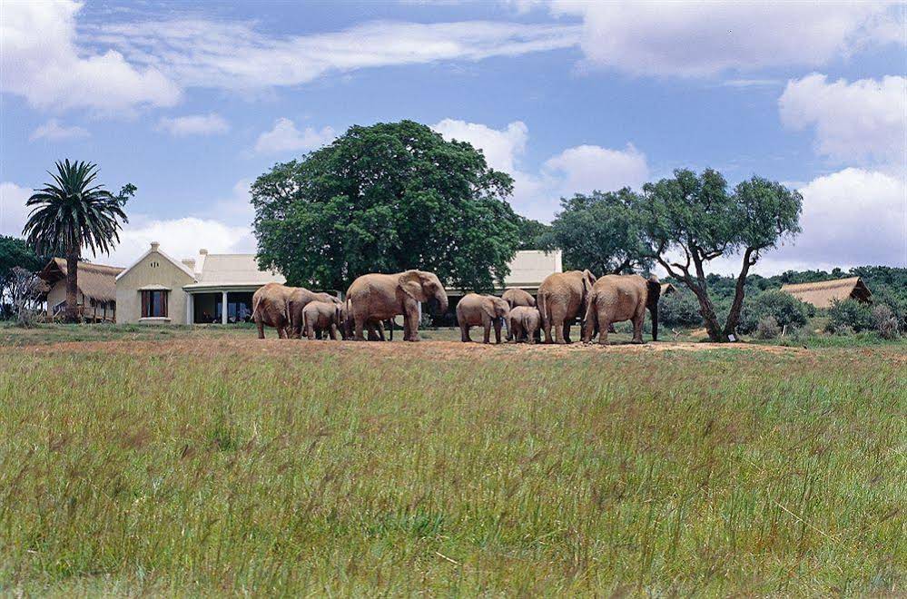 Gorah Elephant Camp