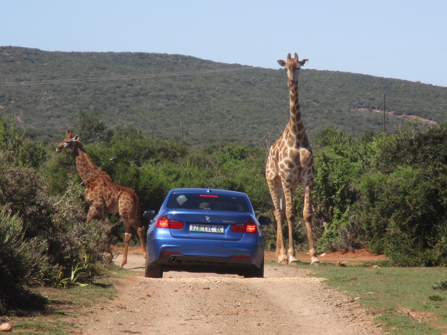 Valley Bushveld Country Lodge