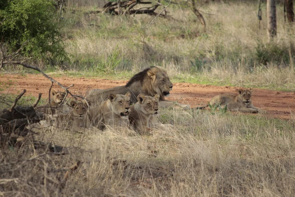 Emhosheni River Lodge