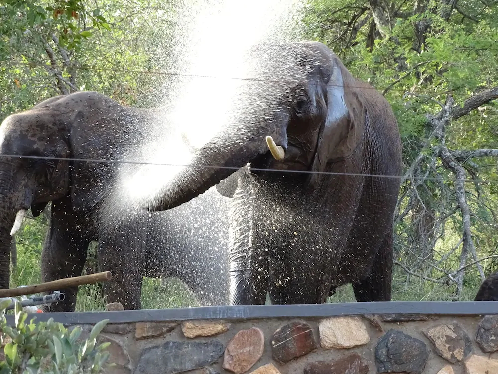 Emhosheni River Lodge