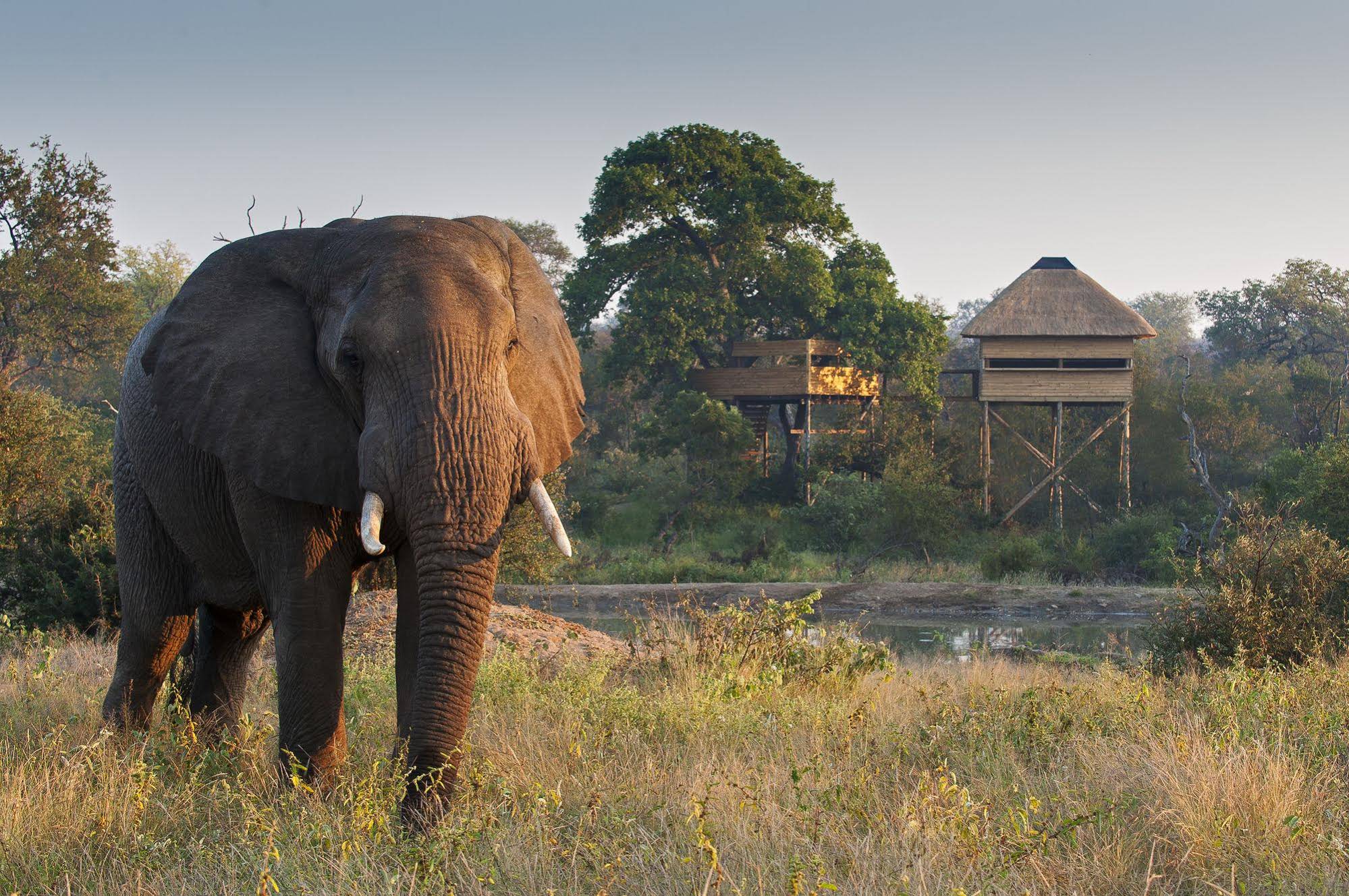 Pondoro Game Lodge