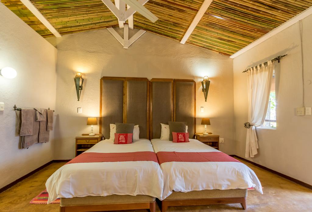 Gecko Lodge