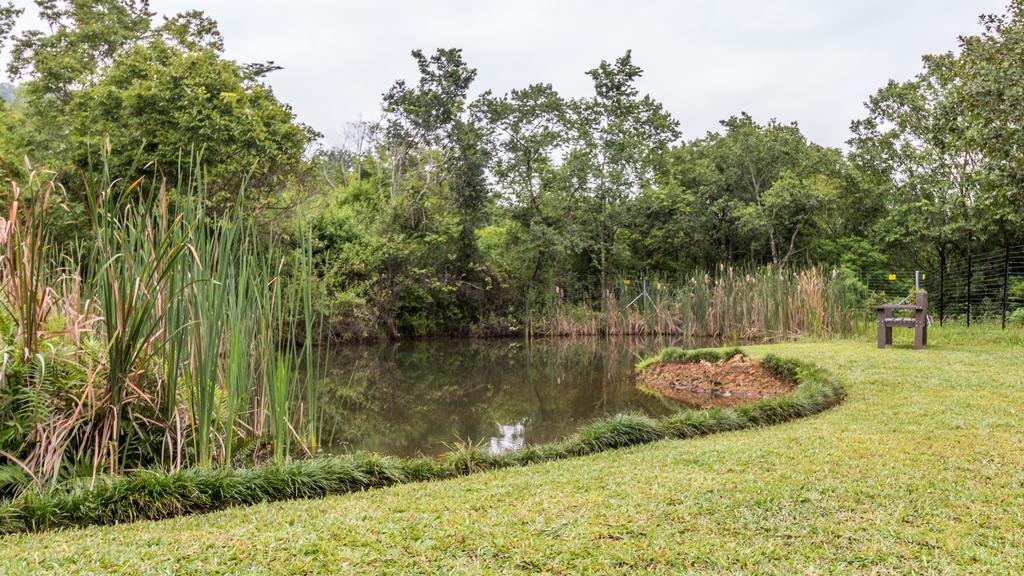 Gecko Lodge