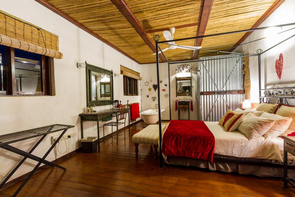 Gecko Lodge