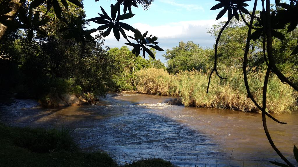 Gecko Lodge