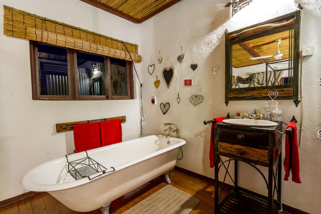 Gecko Lodge