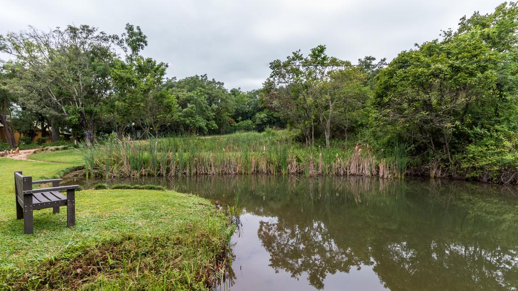 Gecko Lodge