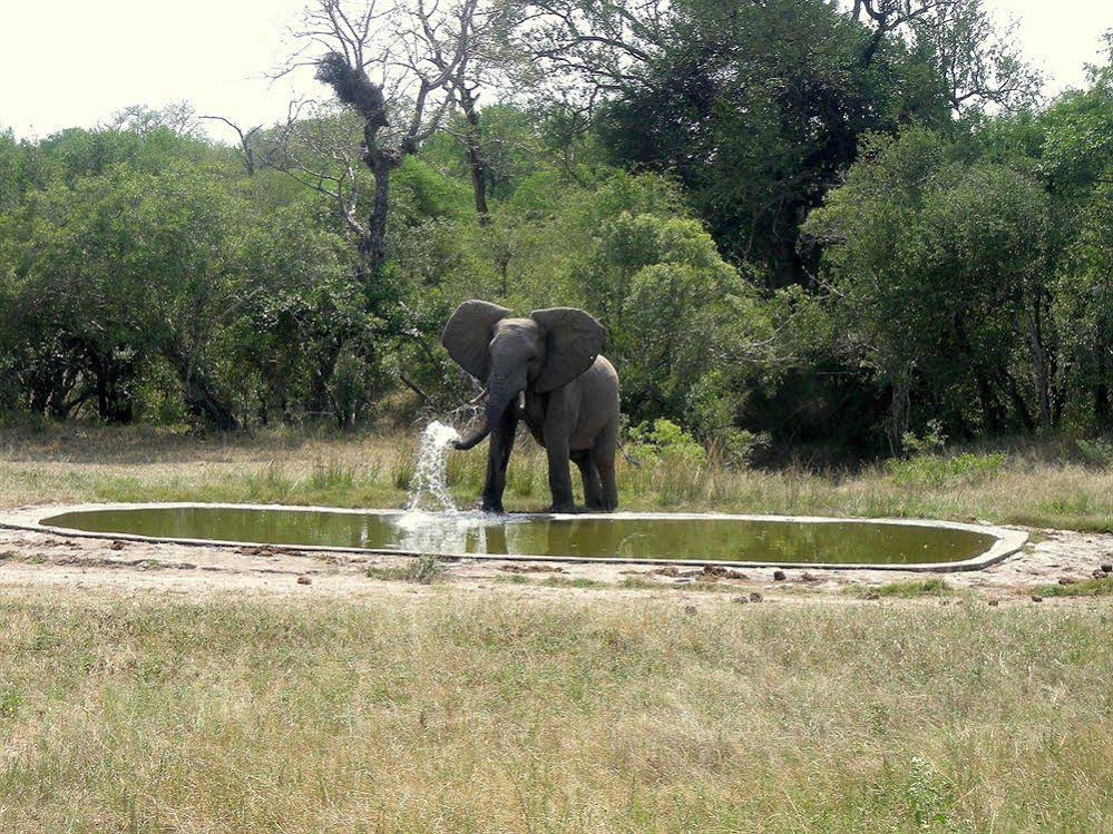 Sabie River Bush Lodge