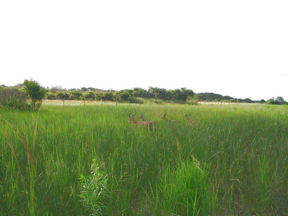 Emdoneni Lodge