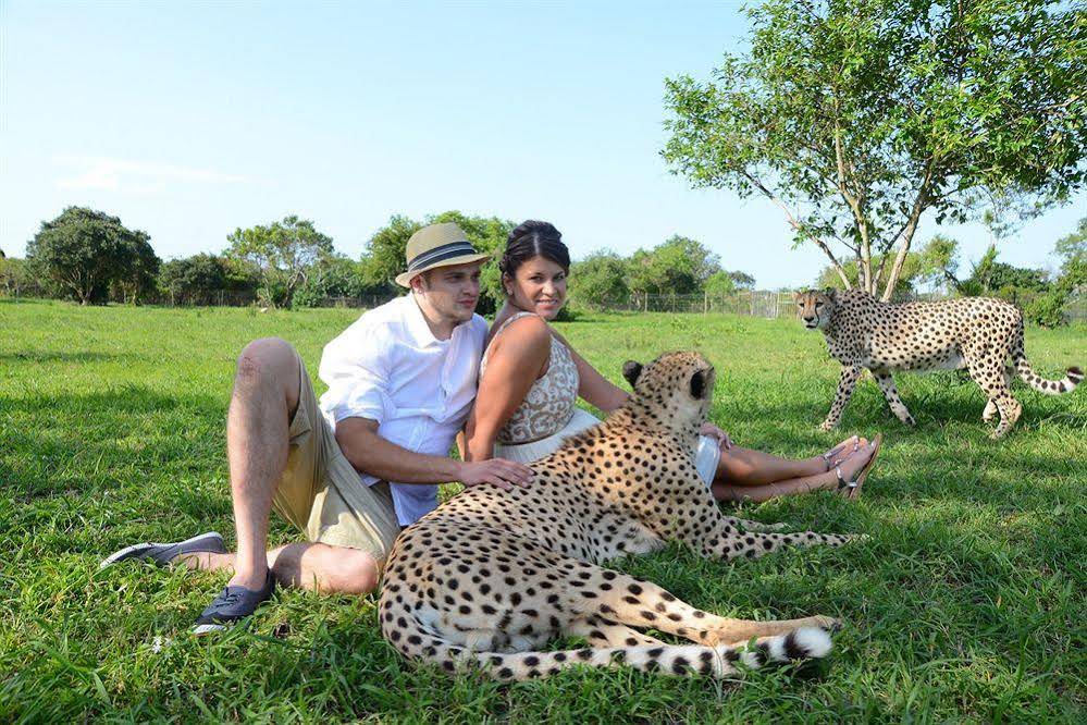 Emdoneni Lodge