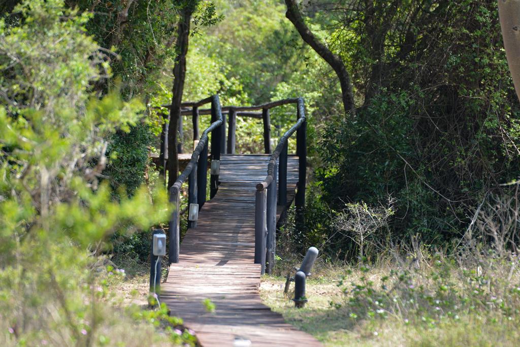 Gooderson Bushlands Game Lodge