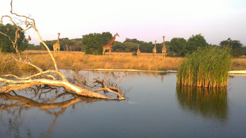 Gooderson Bushlands Game Lodge