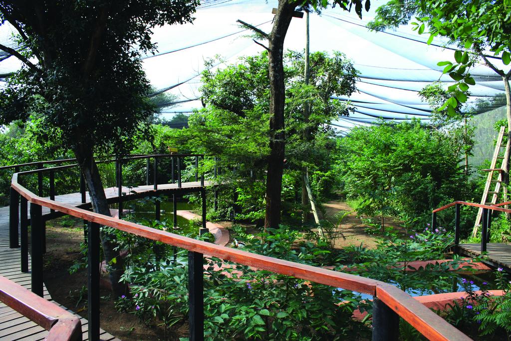 Gooderson DumaZulu Lodge & Traditional Village