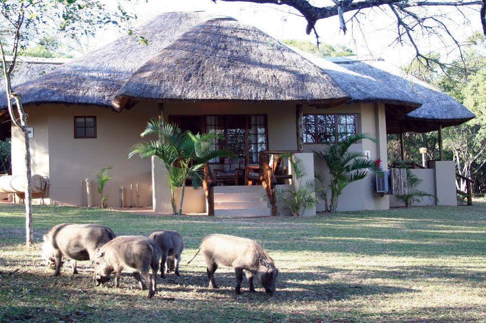 Bonamanzi Game Park Lalapanzi Camp