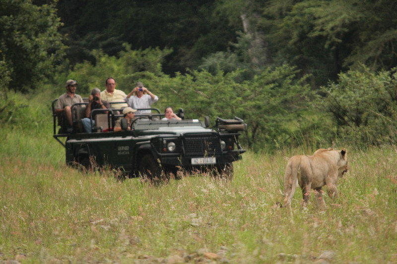 Leopard Mountain Safari Lodge