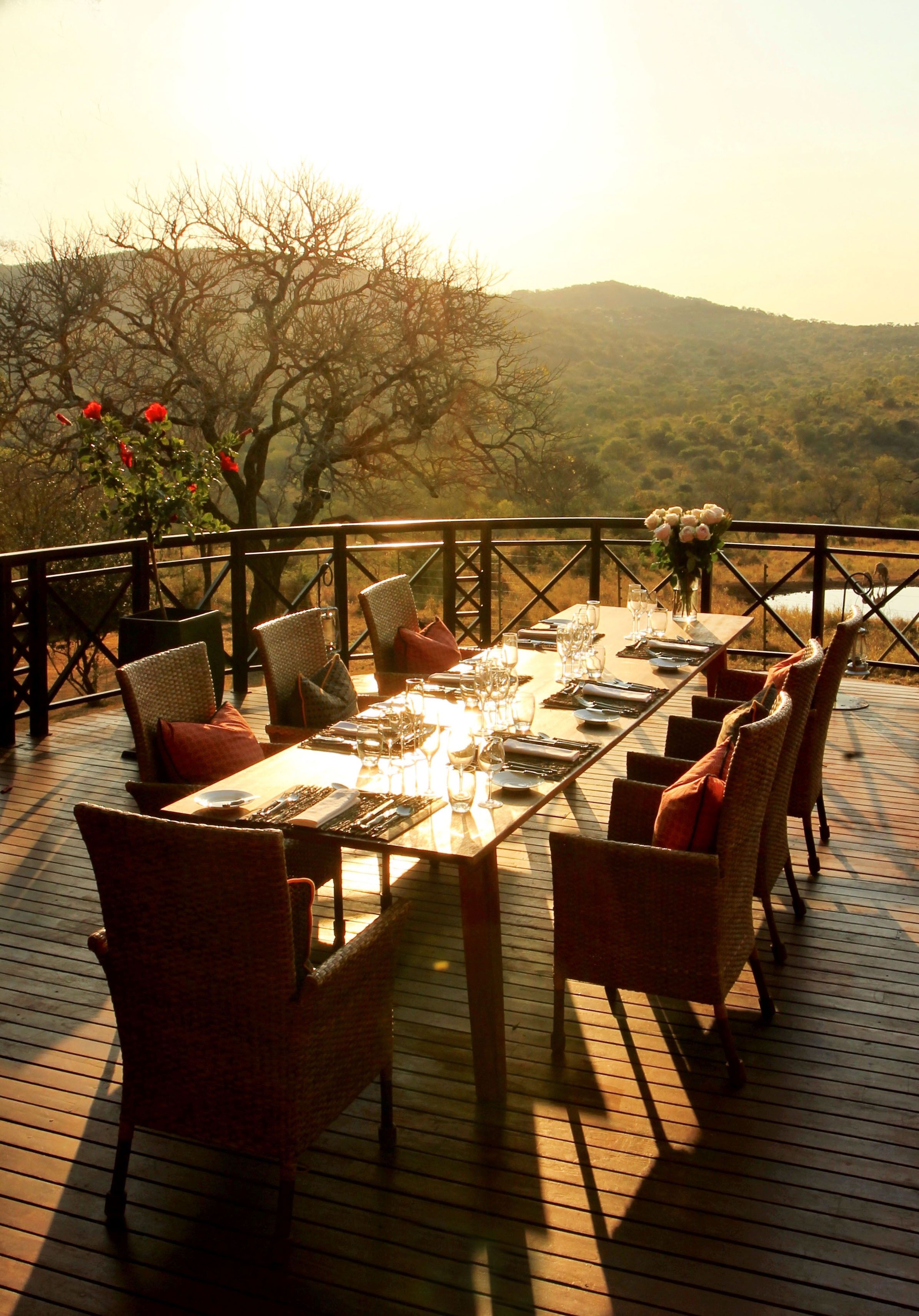 Thanda Safari