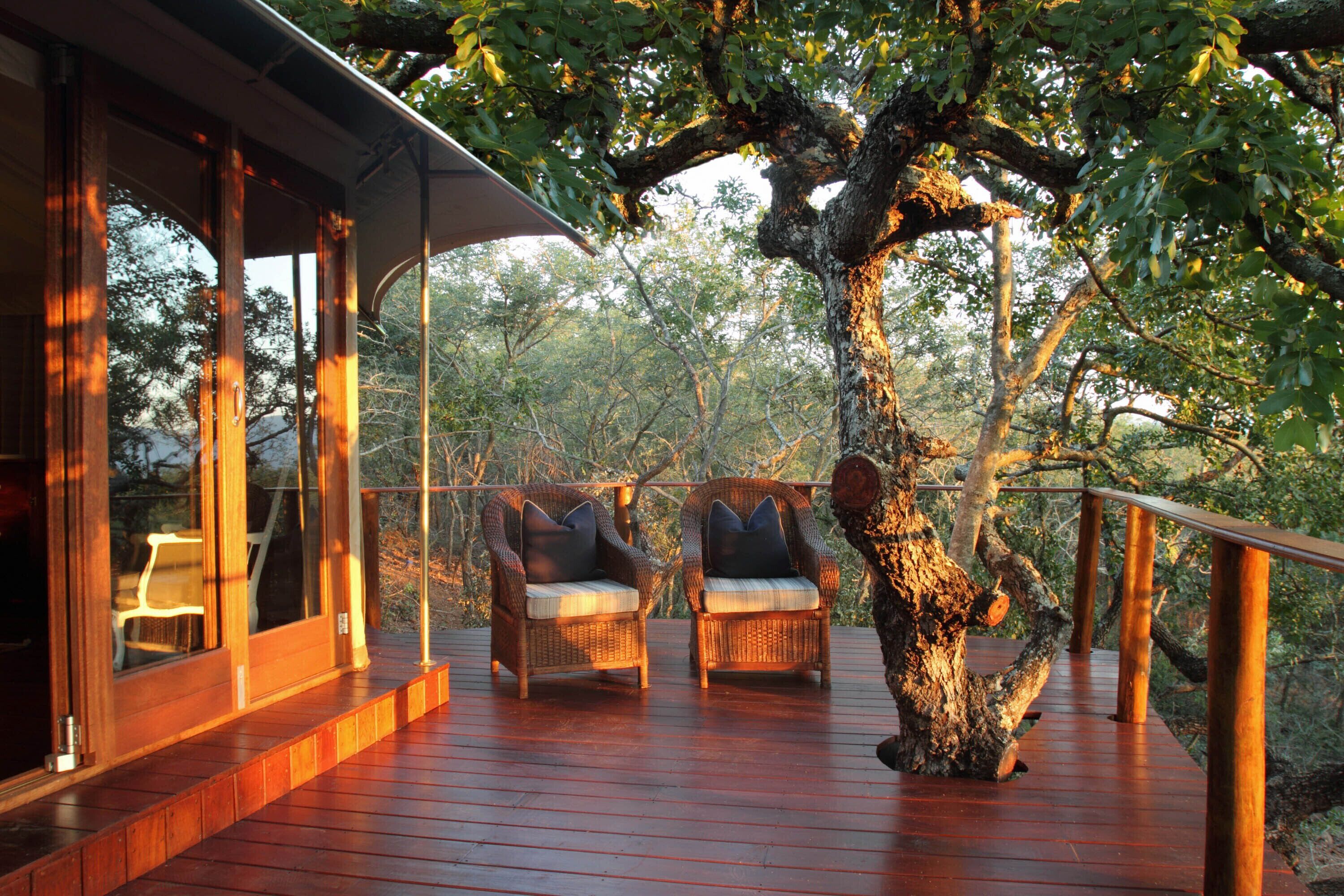 Thanda Safari