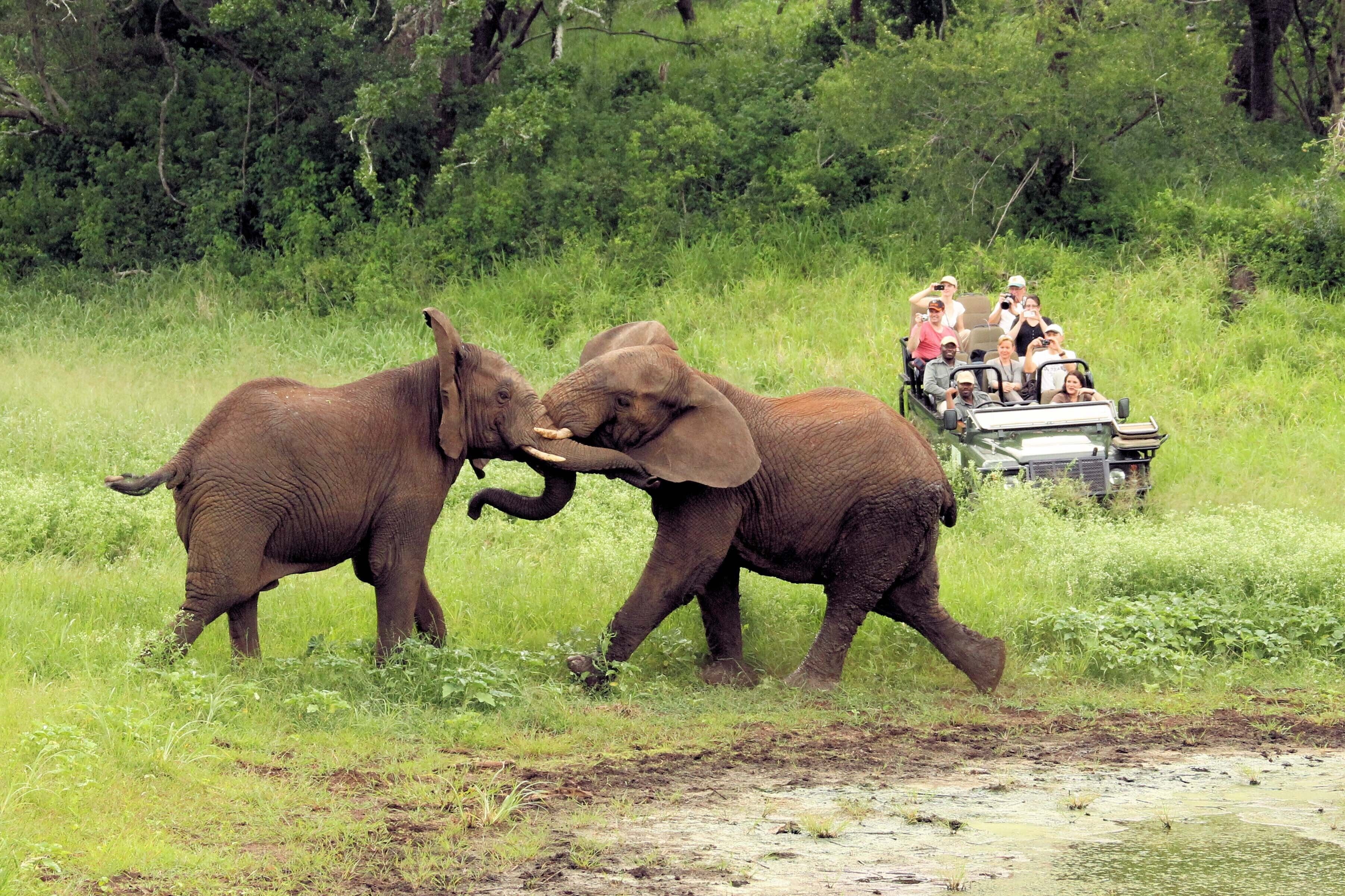 Thanda Safari