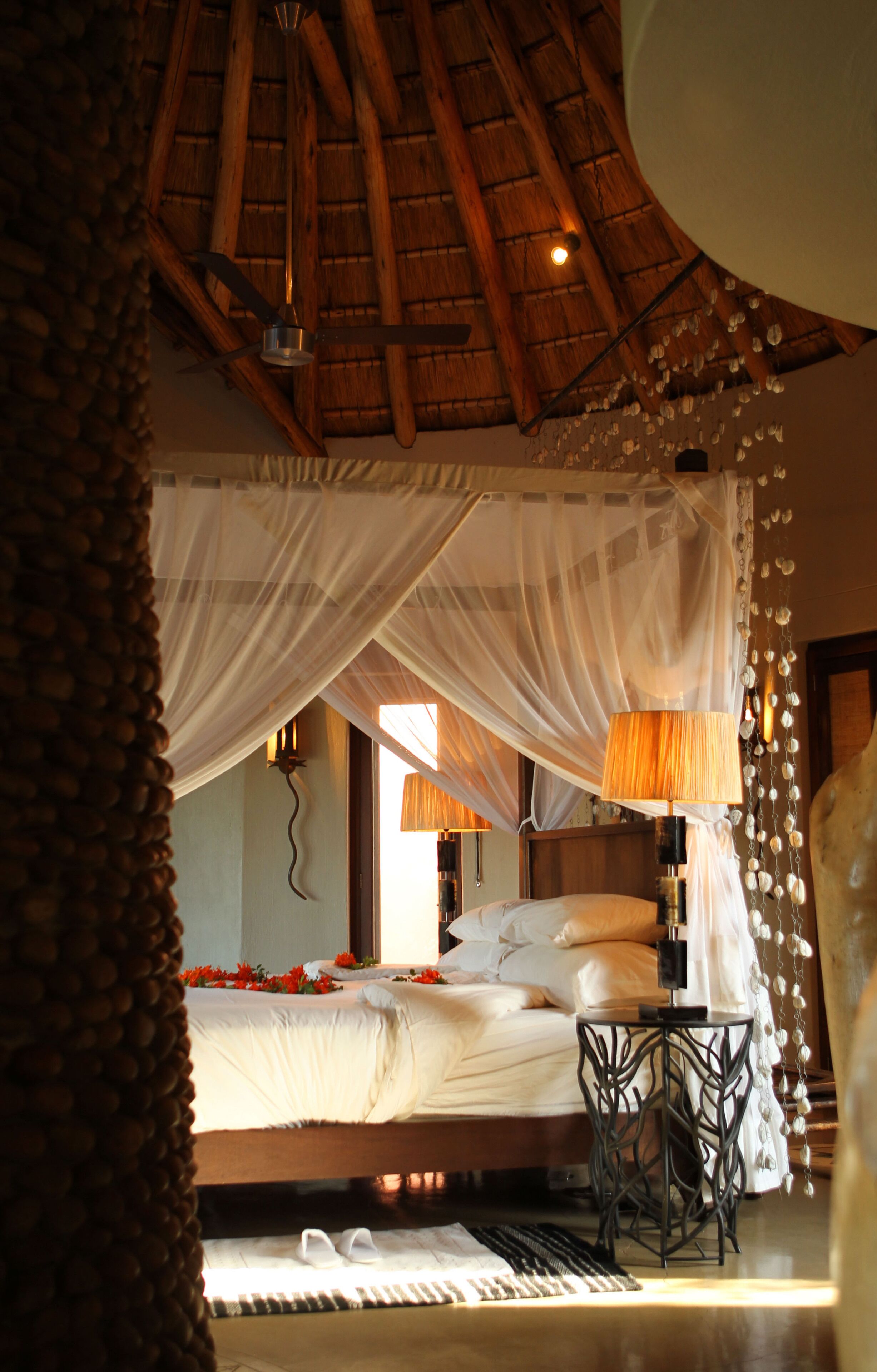 Thanda Safari