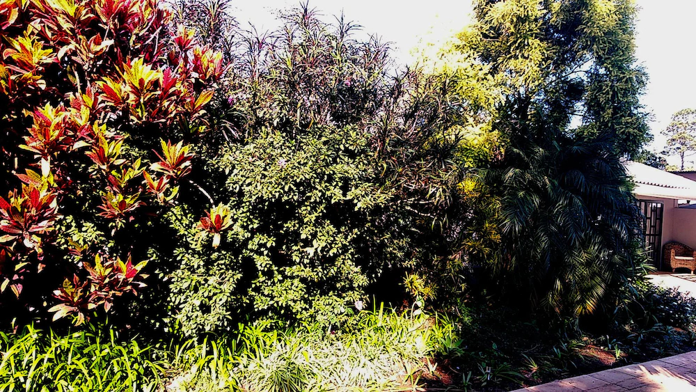 The Wilds Guest House