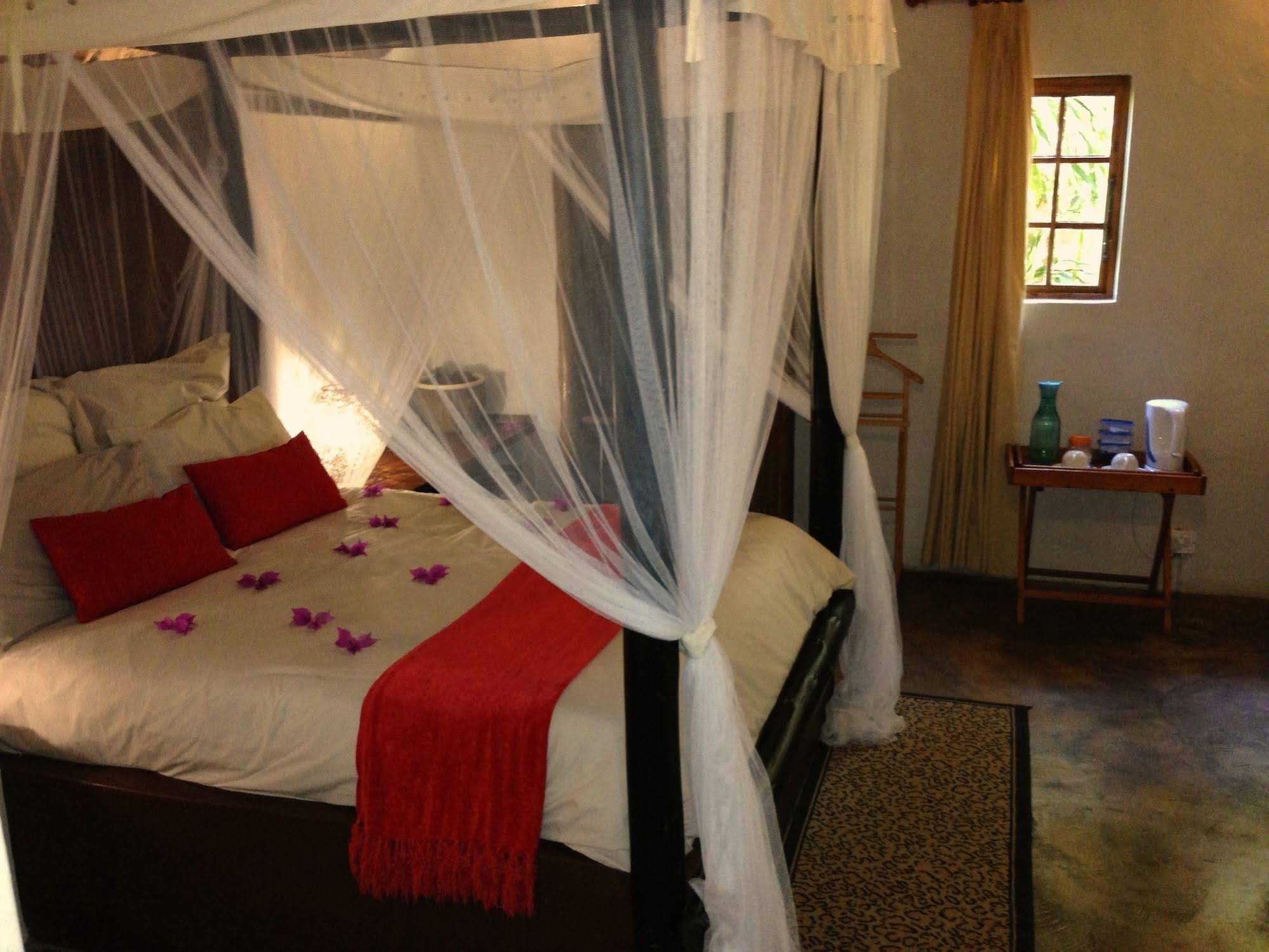 We Bushcamp And Horse Safaris