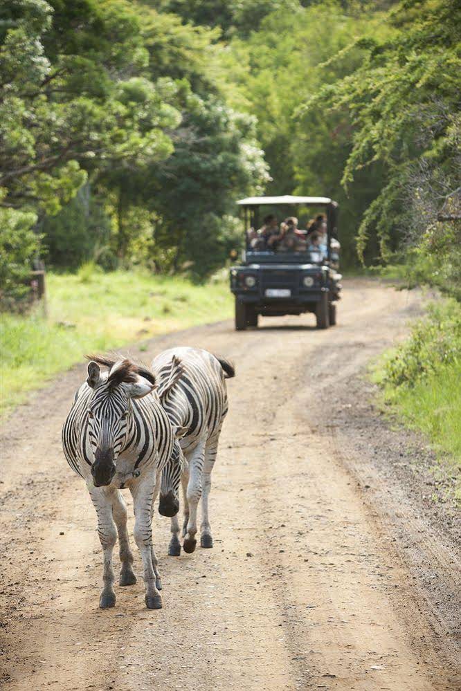 Zululand Safari Lodge
