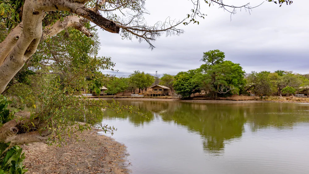 Africamps At Hoedspruit