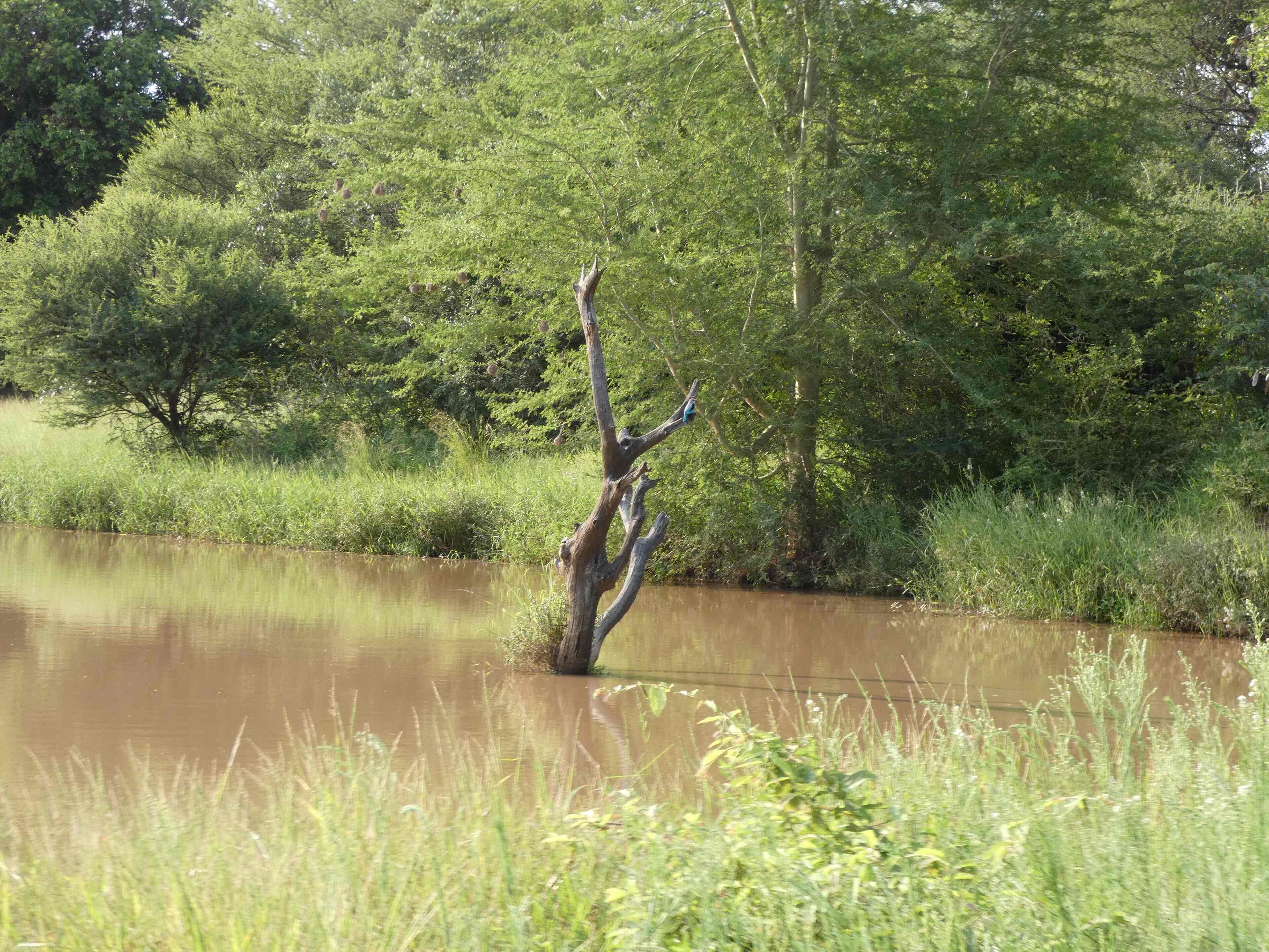 Gem In The Bush Lodge