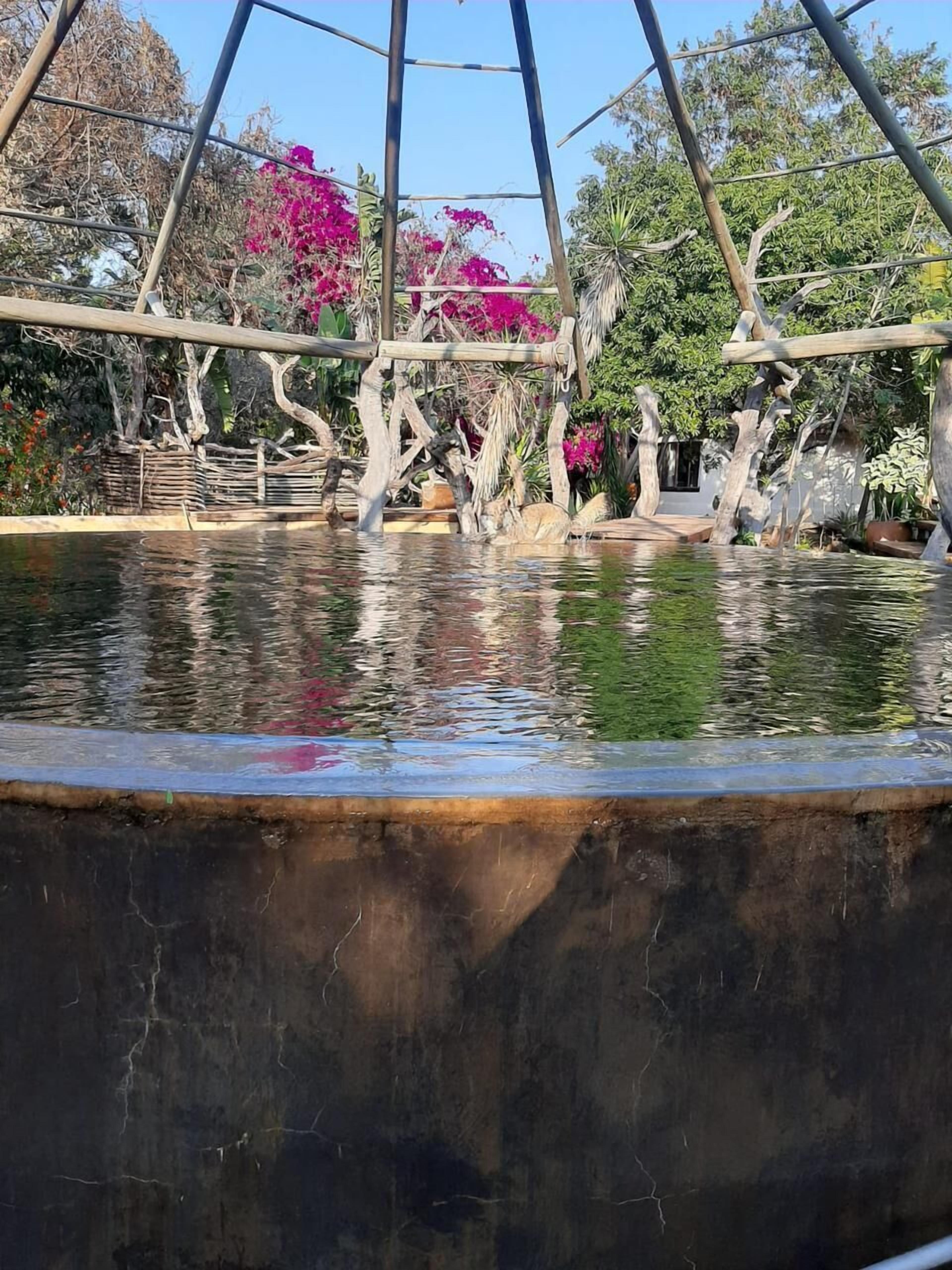 Hippomoon Lodge
