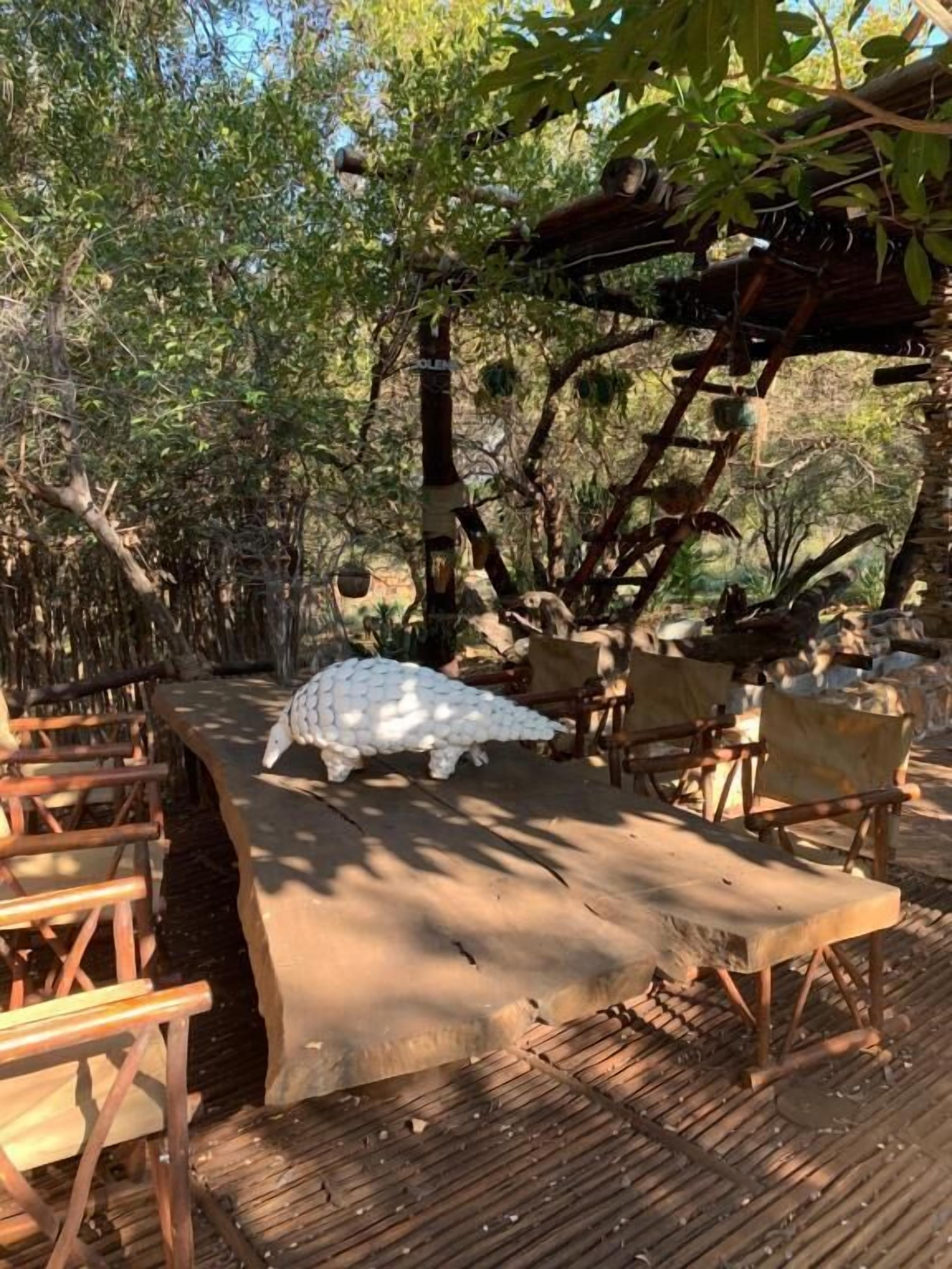 Hippomoon Lodge