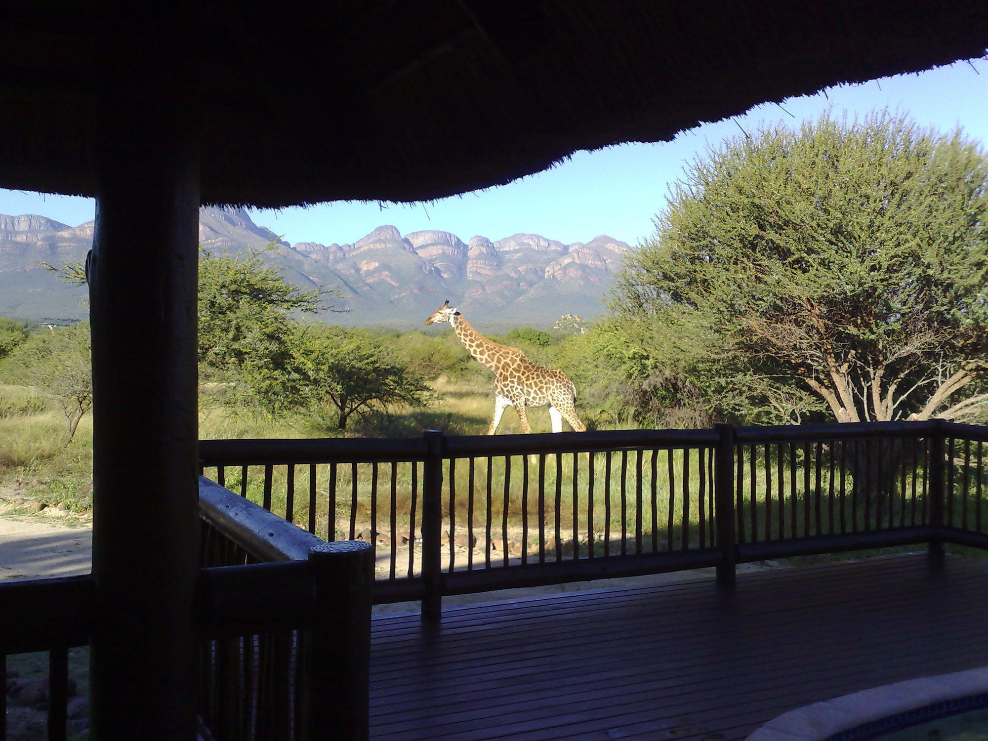 House 27 Blyde Wildlife Estate
