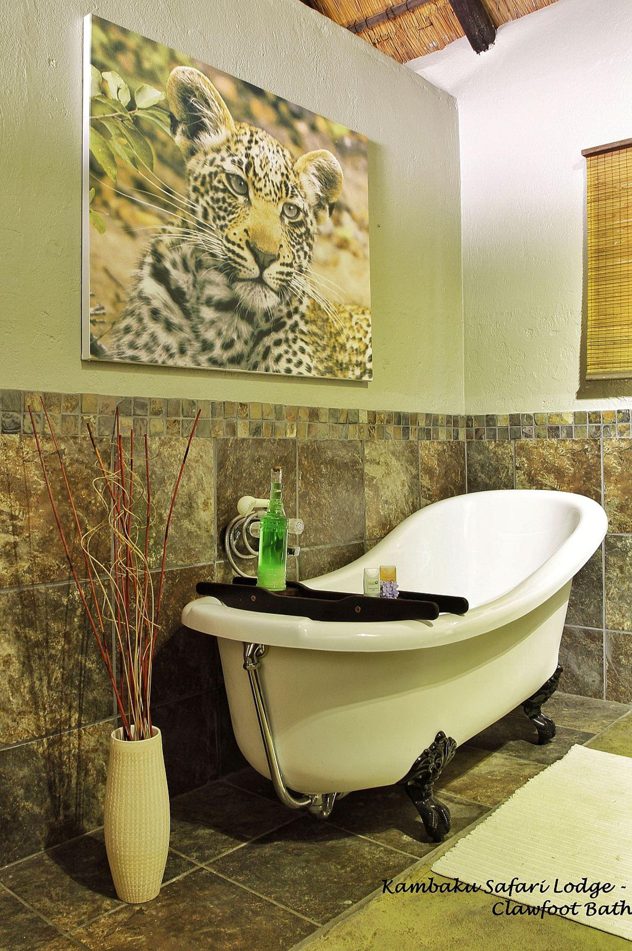 Kambaku Safari Lodge