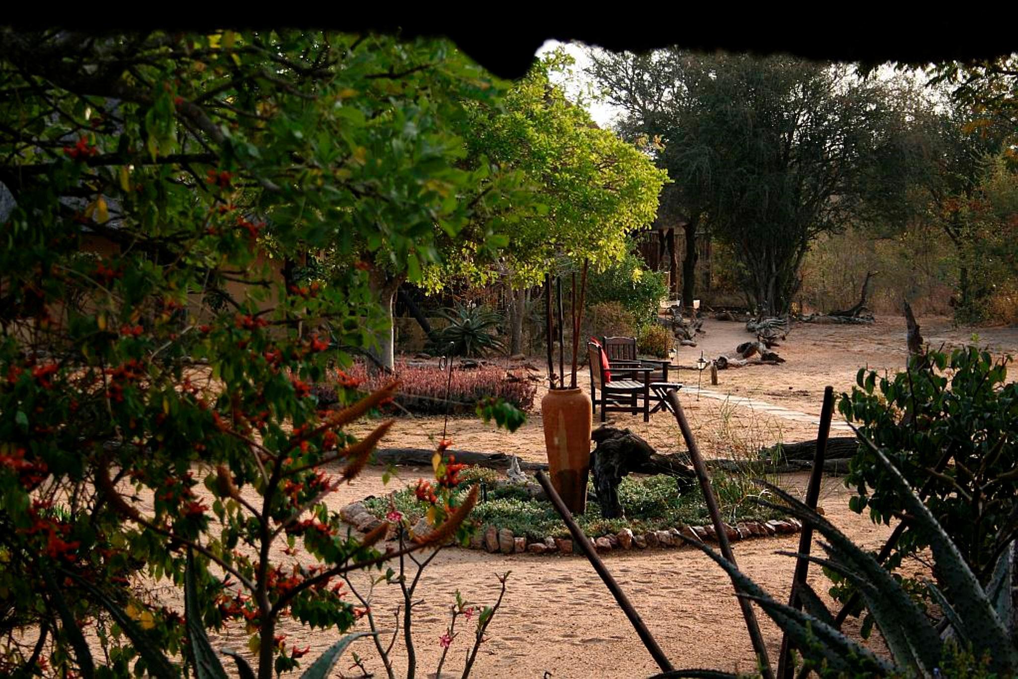 Kambaku Safari Lodge