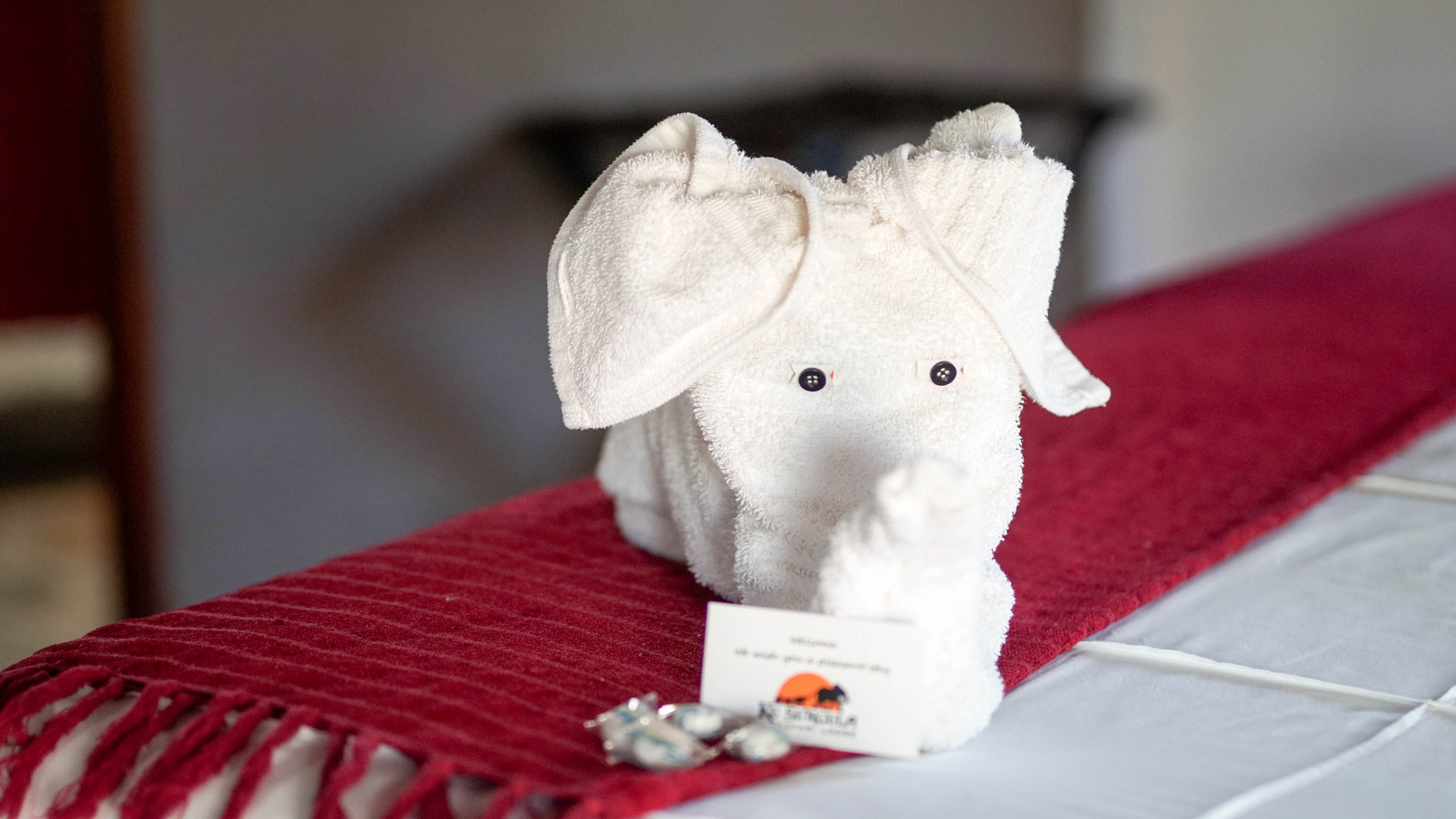 Ku Sungula Safari Lodge