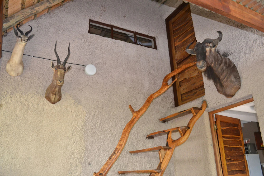 Mali Mali Safari Lodge