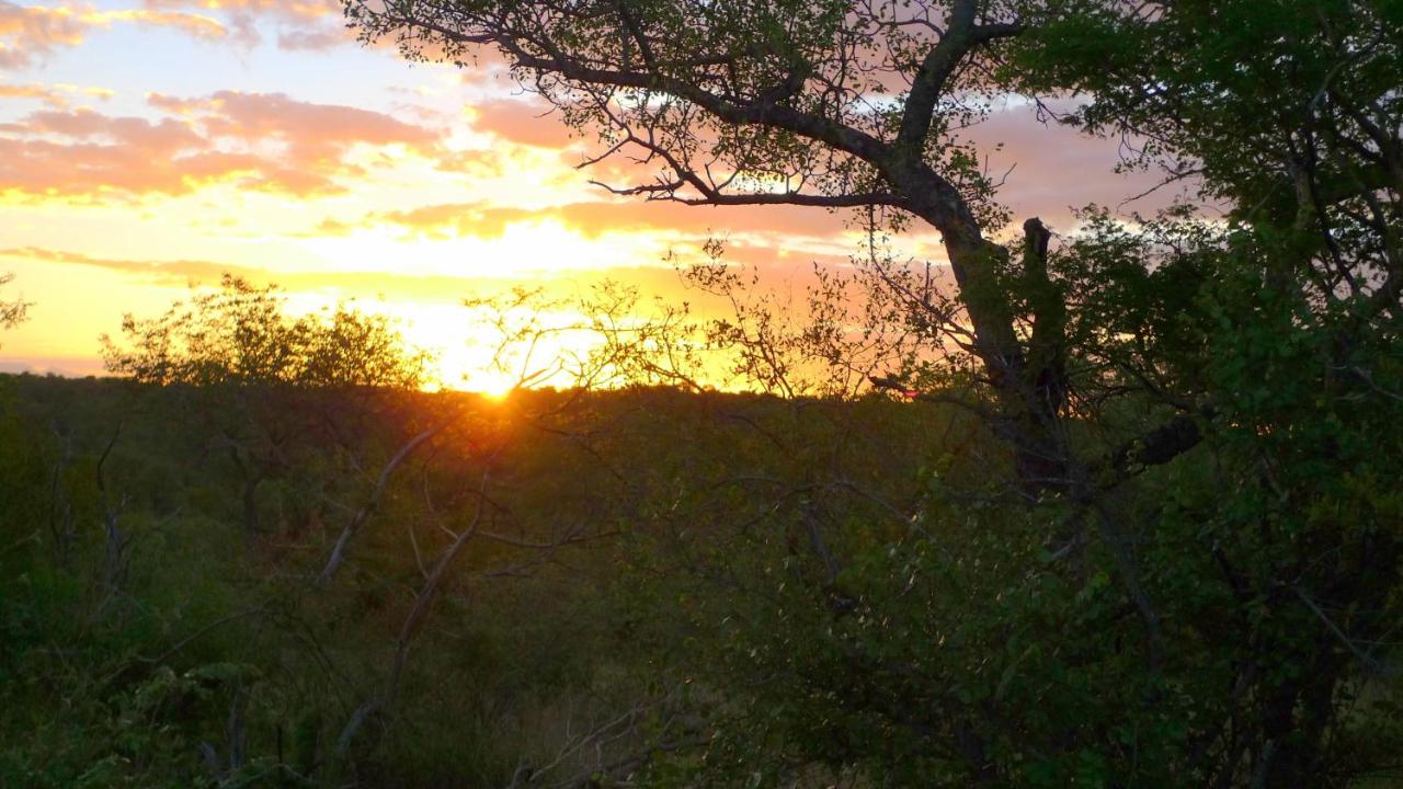 Masodini Private Game Lodge