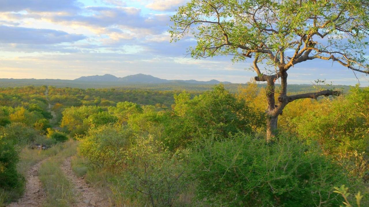 Masodini Private Game Lodge
