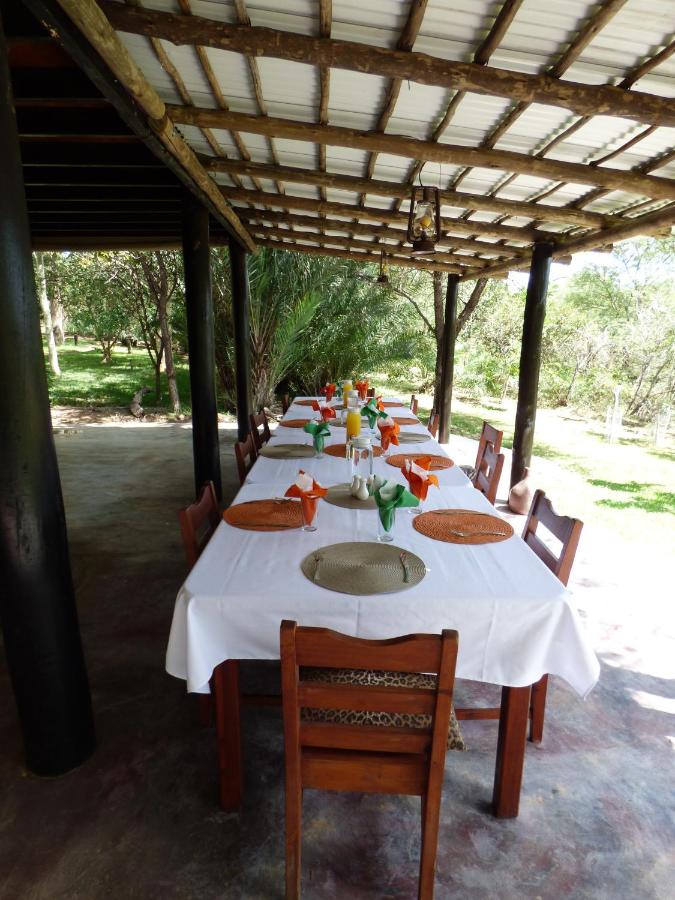 Masodini Private Game Lodge