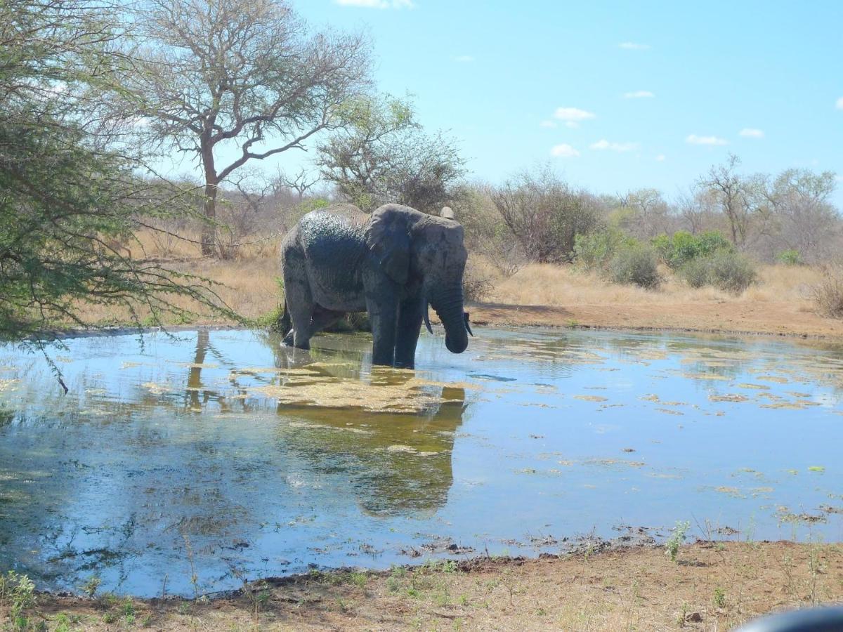 Masodini Private Game Lodge