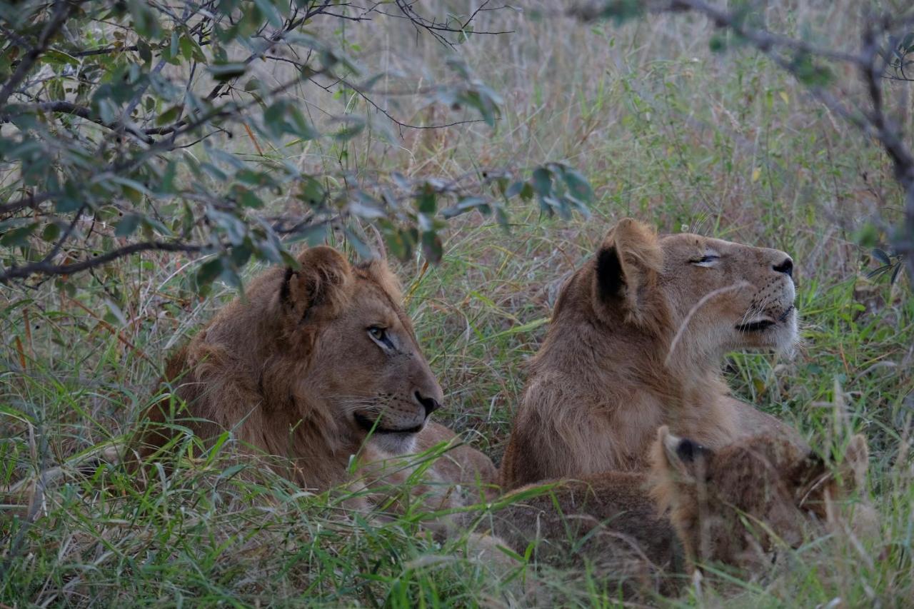 Masodini Private Game Lodge