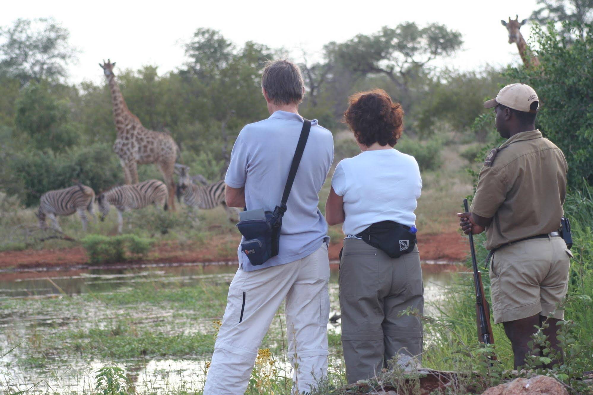 Mohlabetsi Safari Lodge