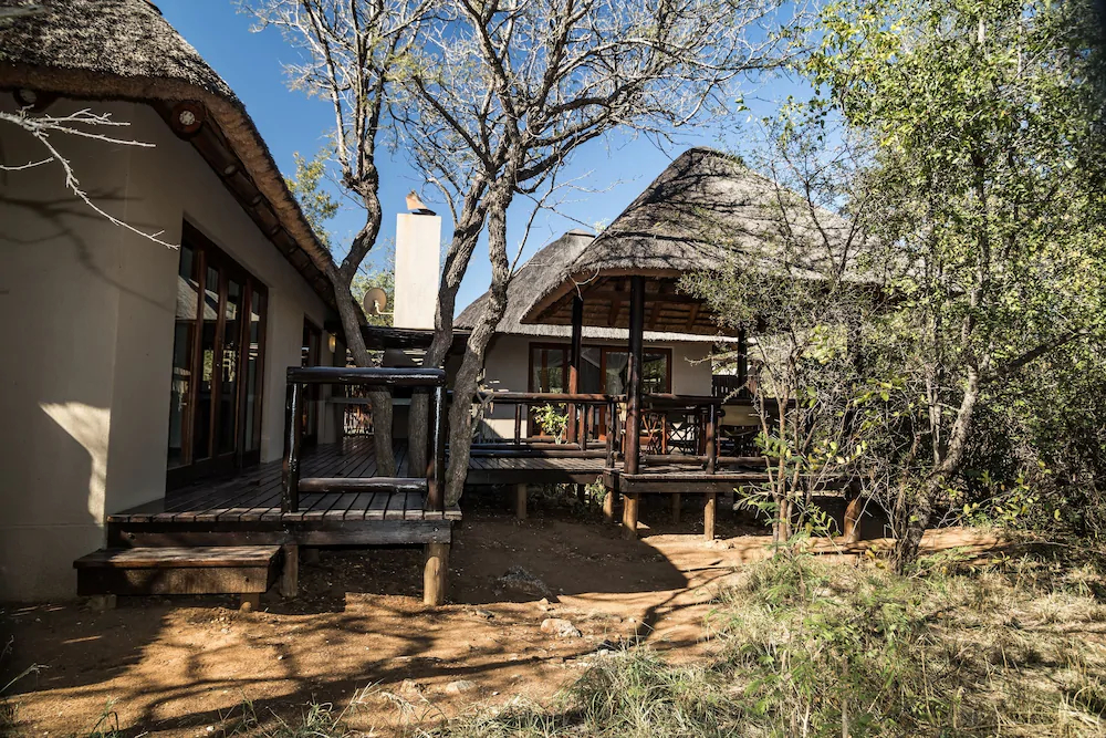 Raptors Lodge
