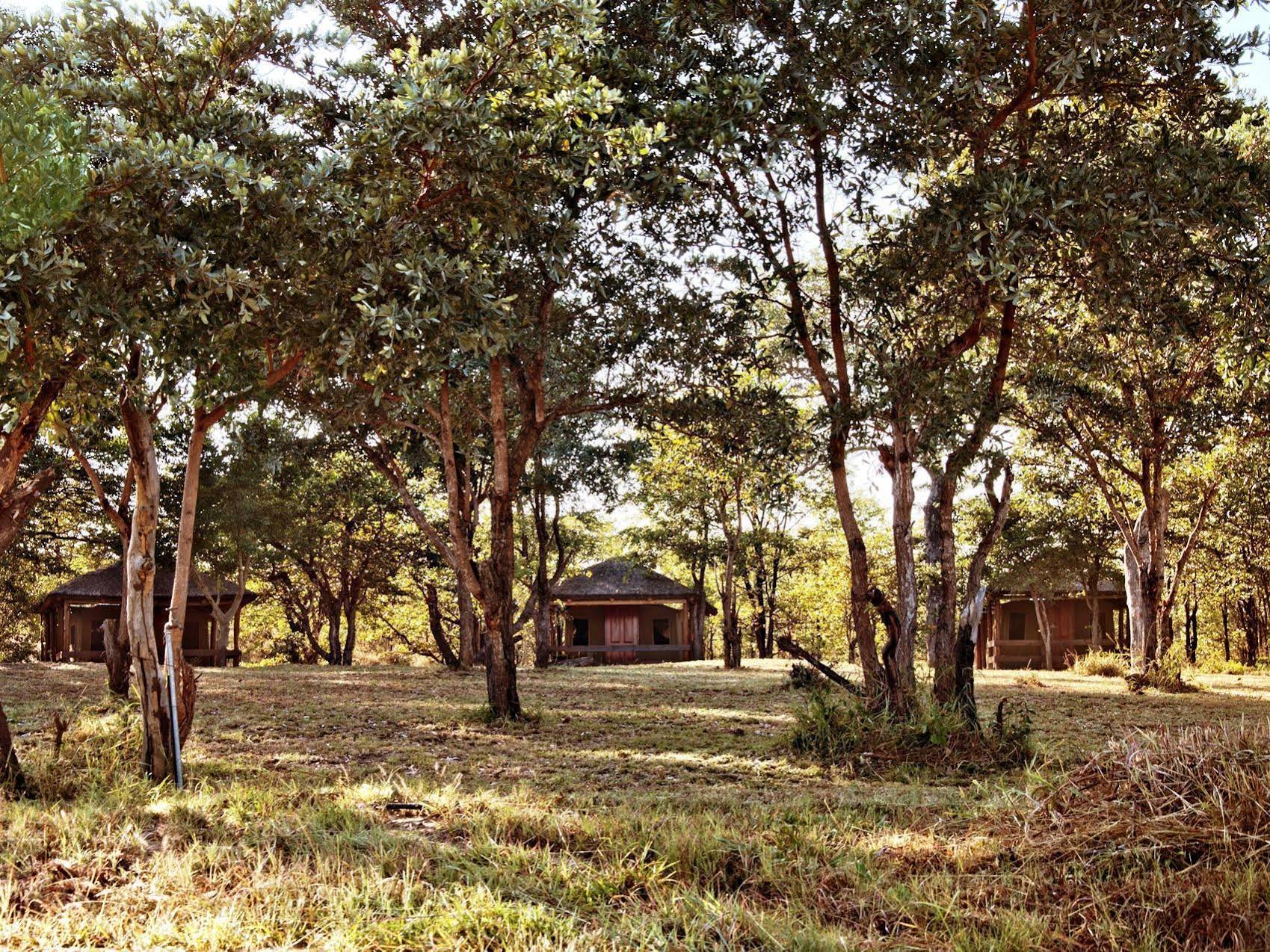 Shindzela Tented Safari Camp
