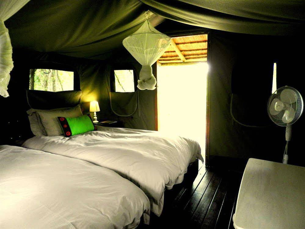 Shindzela Tented Safari Camp